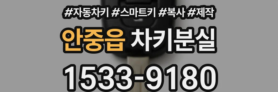 안중읍 차키분실
