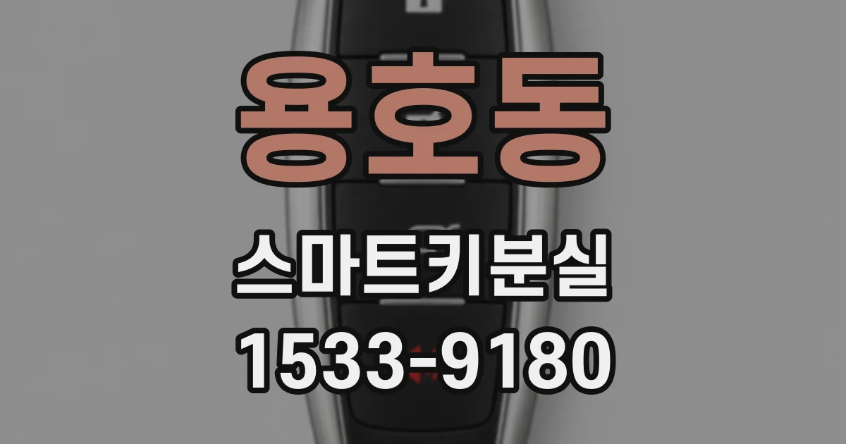 용호동 스마트키분실
