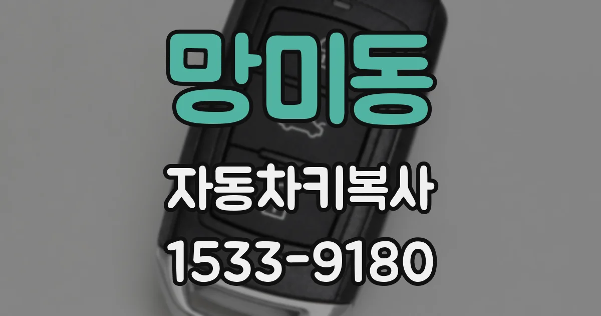 망미동 자동차키복사