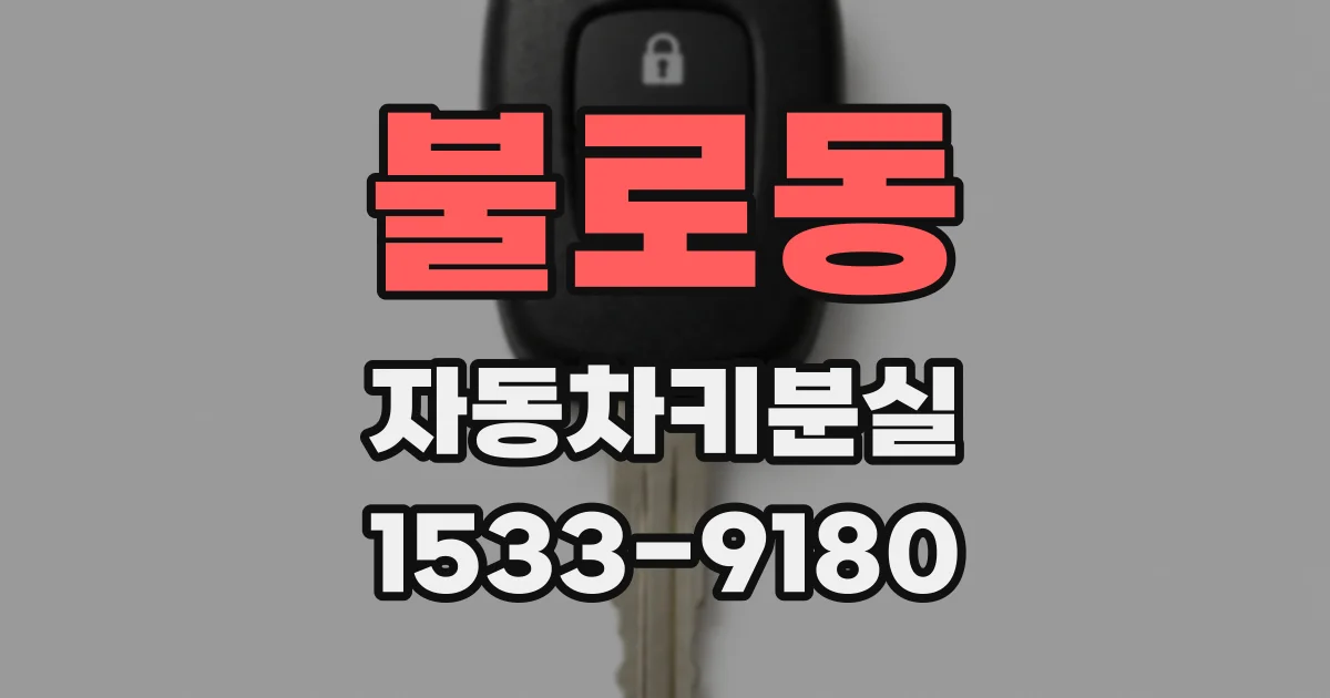 불로동 자동차키분실