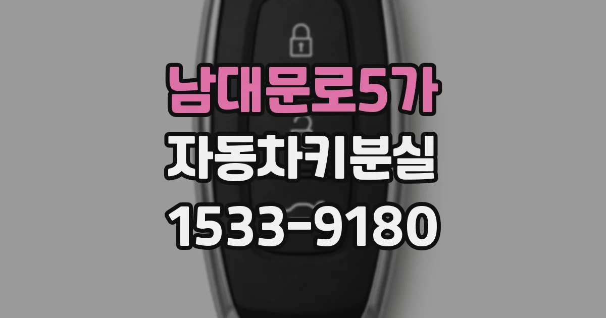 남대문로5가 자동차키분실