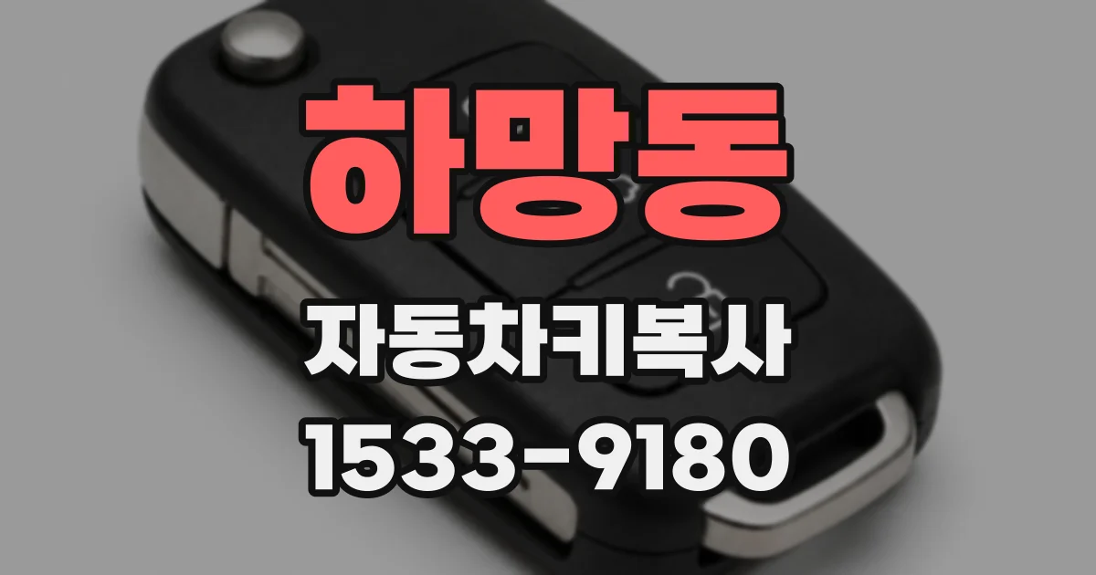 하망동 자동차키복사
