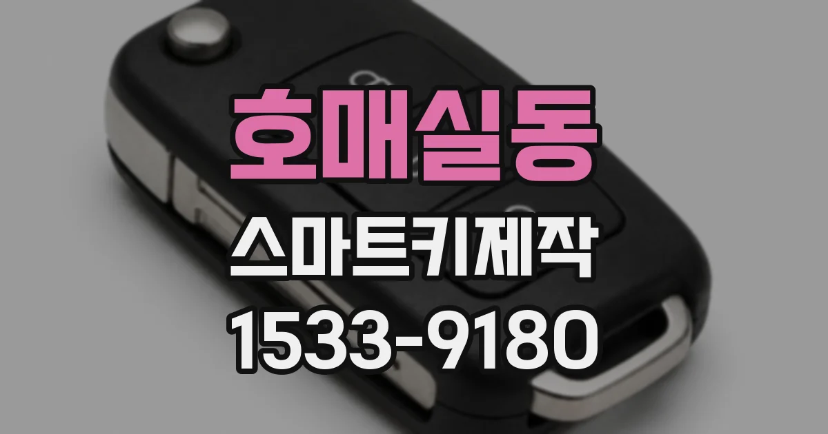 호매실동 스마트키제작