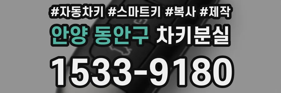 안양 동안구 차키분실