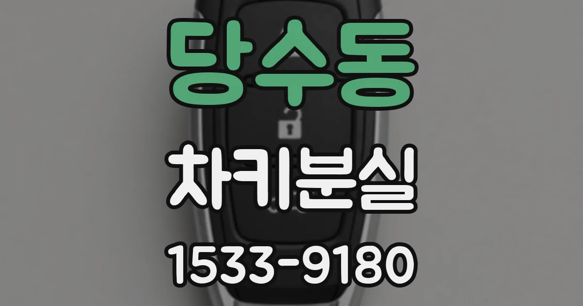 당수동 차키분실