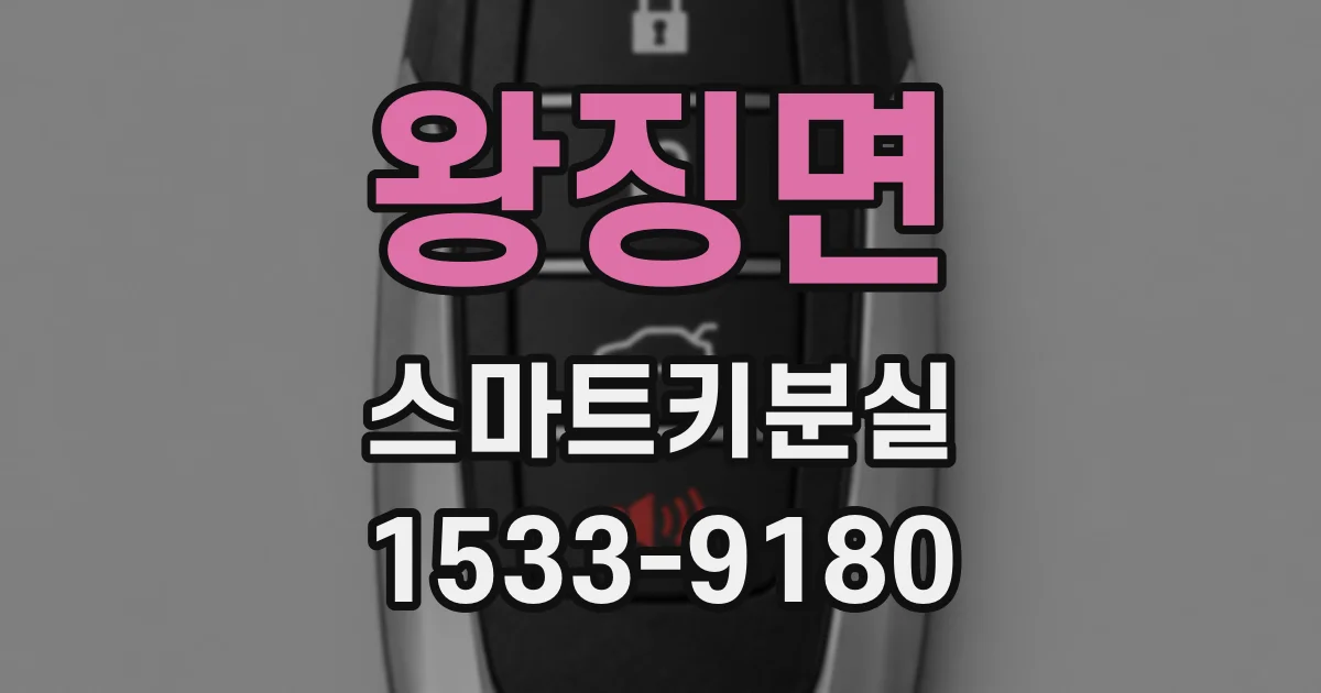 왕징면 스마트키분실