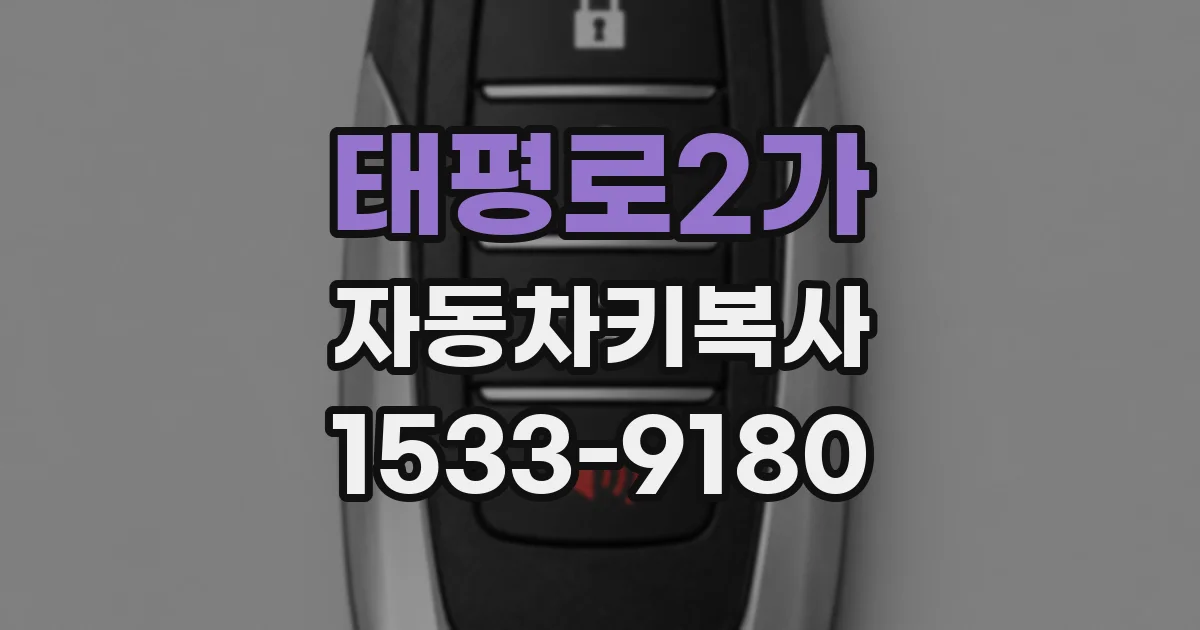 태평로2가 자동차키복사