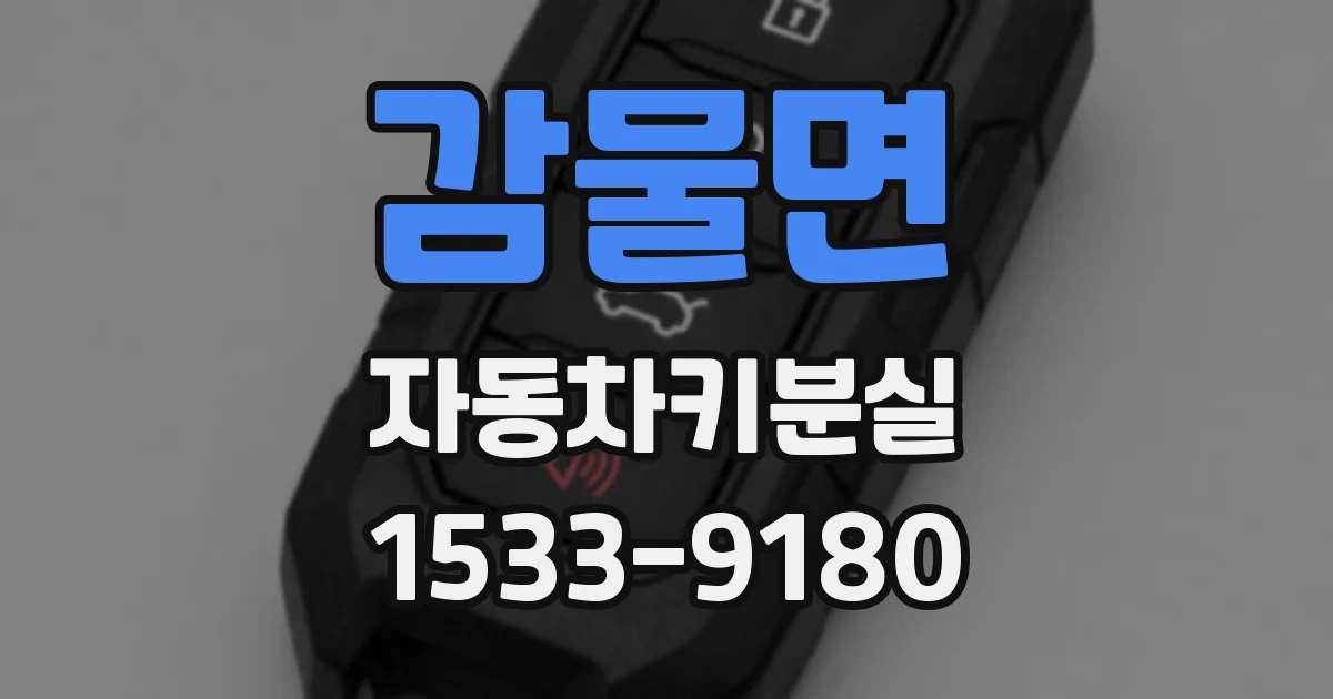 감물면 자동차키분실