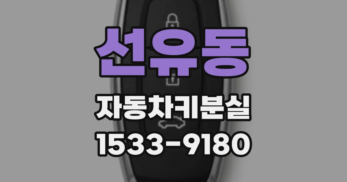 선유동 자동차키분실