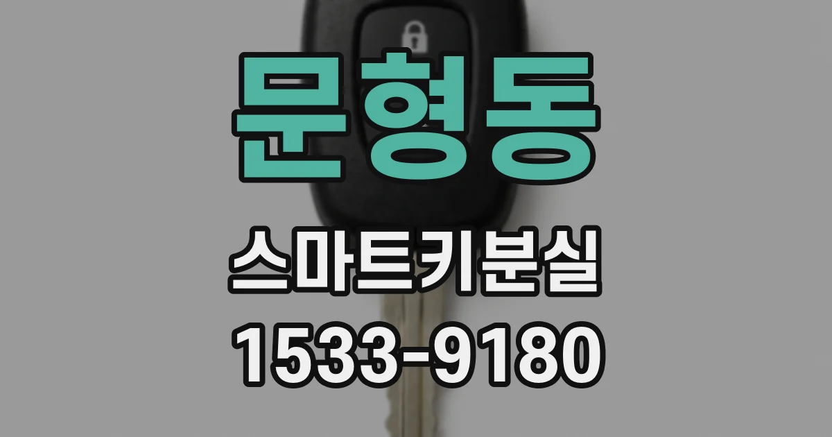 문형동 스마트키분실