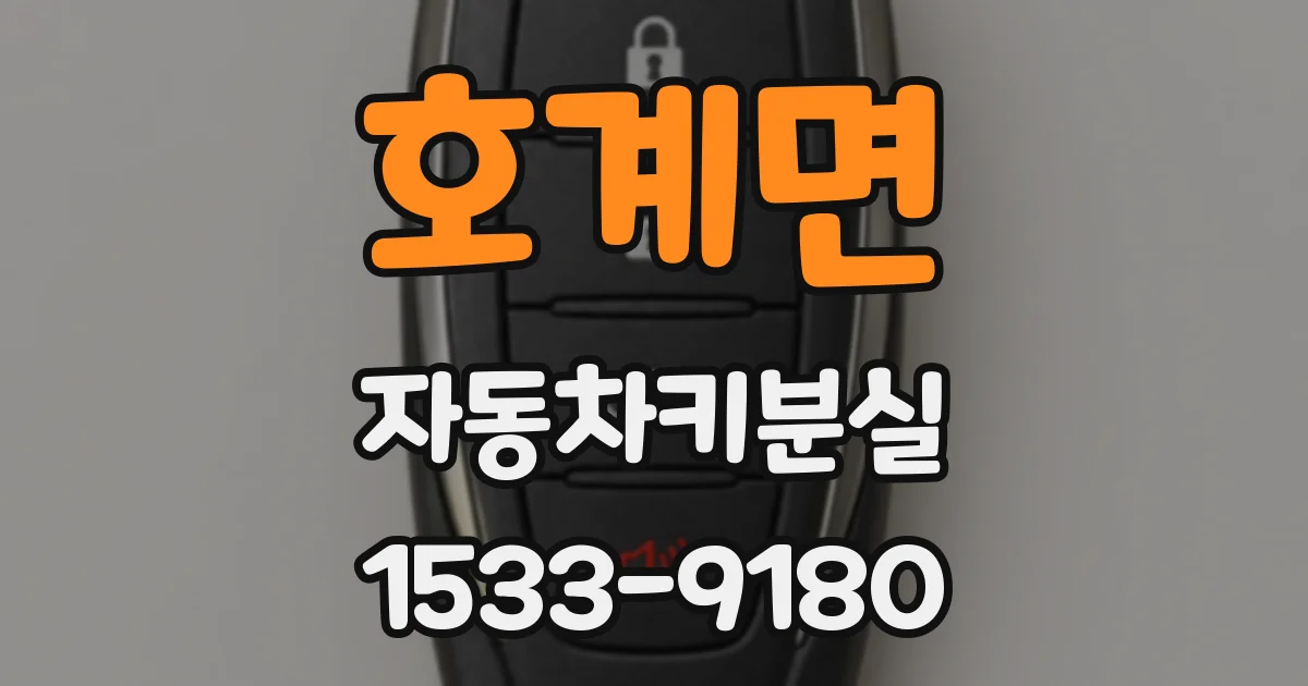 호계면 자동차키분실
