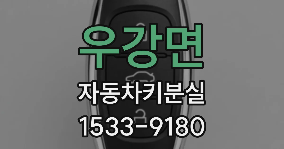우강면 자동차키분실
