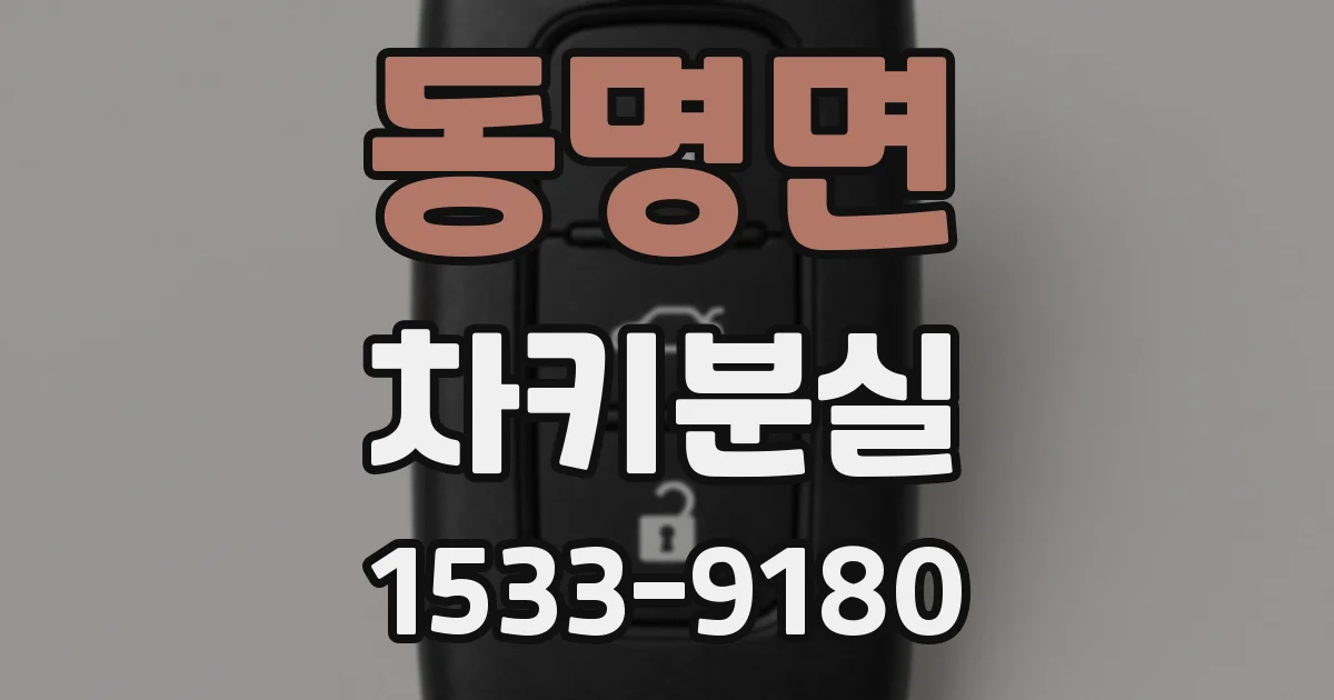 동명면 차키분실