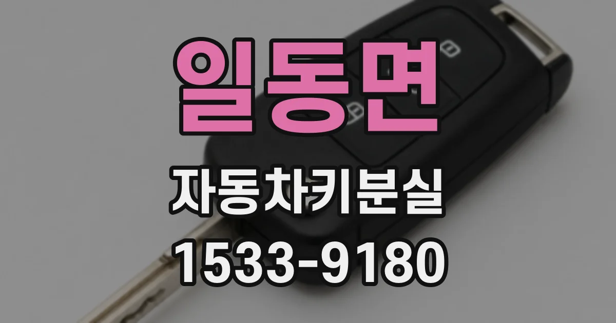 일동면 자동차키분실