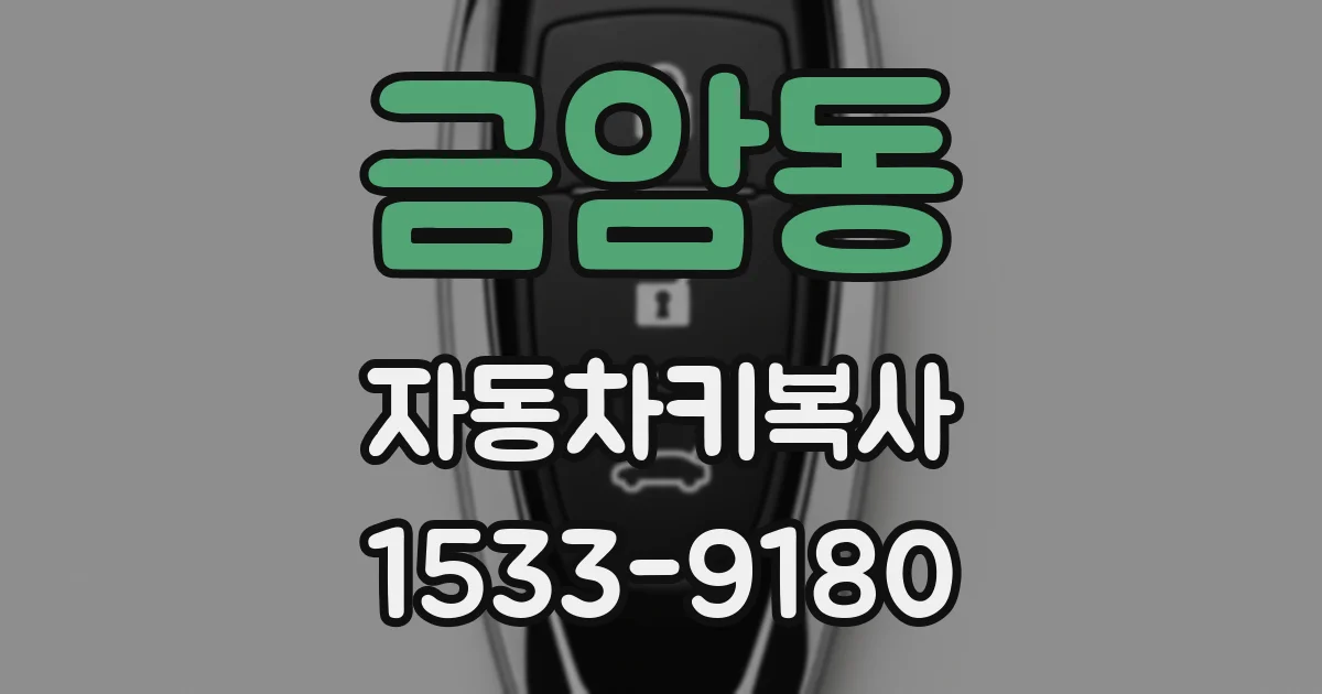 금암동 자동차키복사
