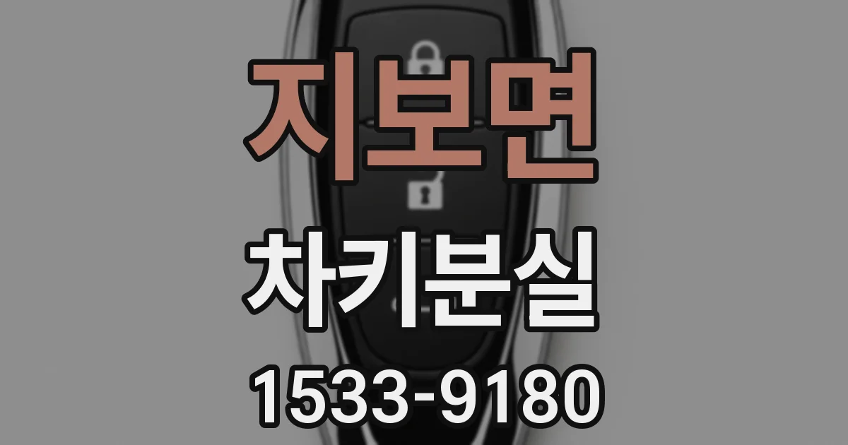 지보면 차키분실