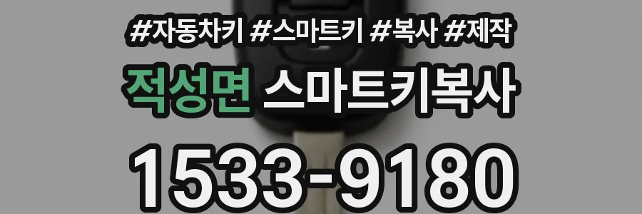 적성면 스마트키복사