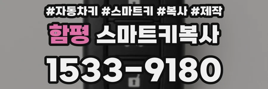 함평 스마트키복사