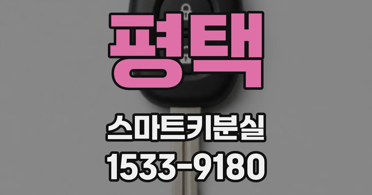 평택 스마트키분실
