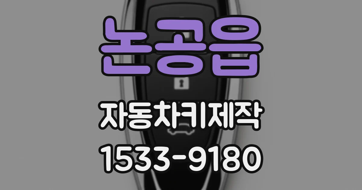 논공읍 자동차키제작