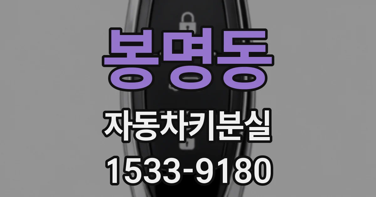 봉명동 자동차키분실