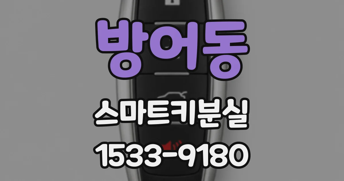 방어동 스마트키분실