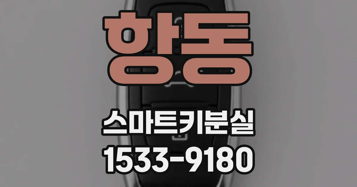 항동 스마트키분실
