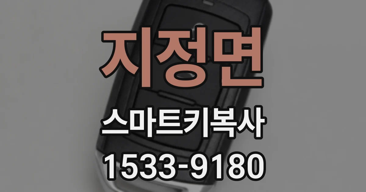지정면 스마트키복사