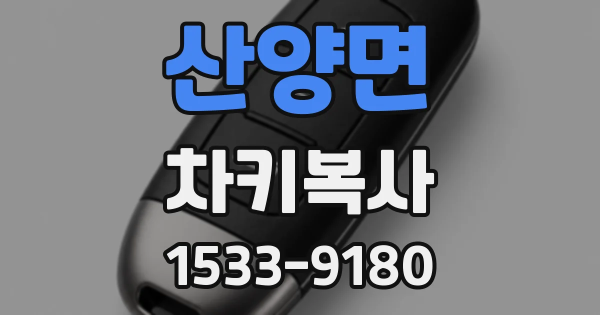 산양면 차키복사
