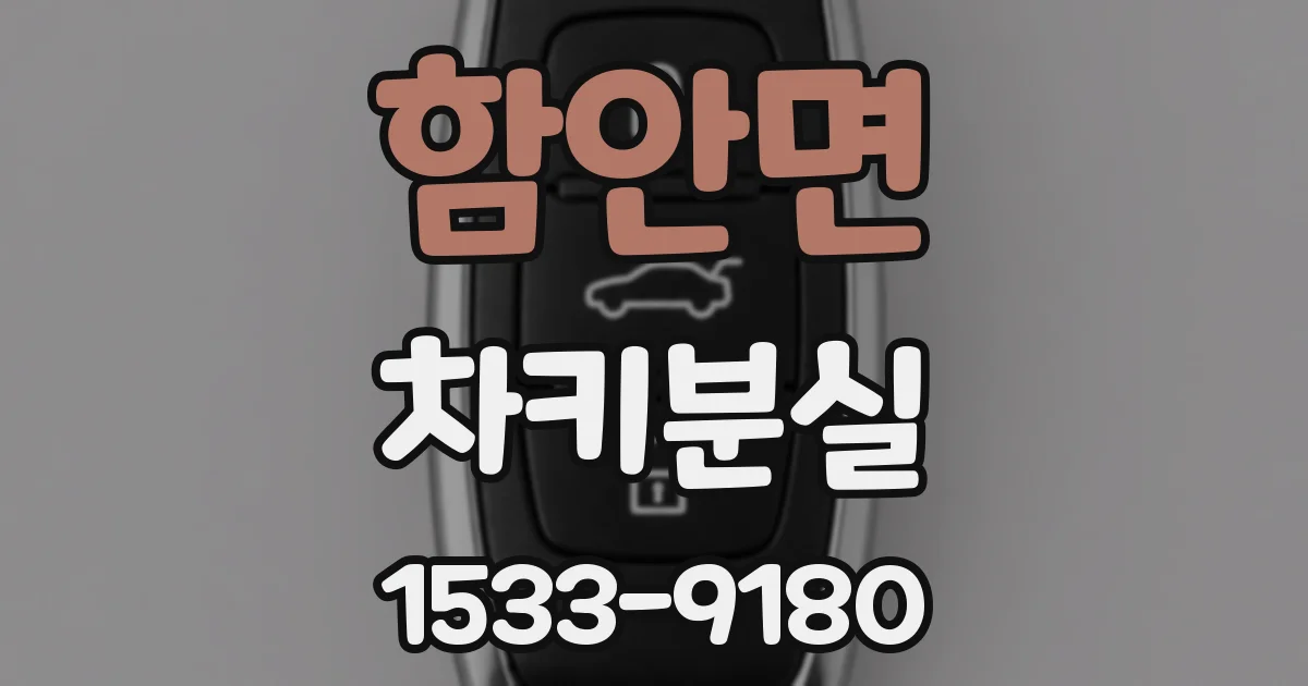 함안면 차키분실