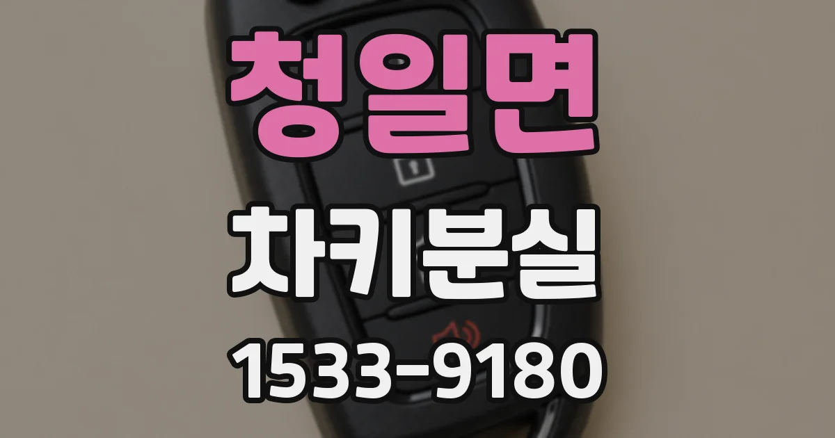 청일면 차키분실