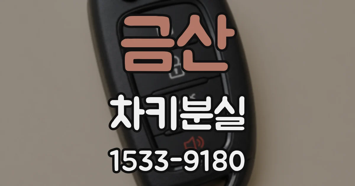 금산 차키분실