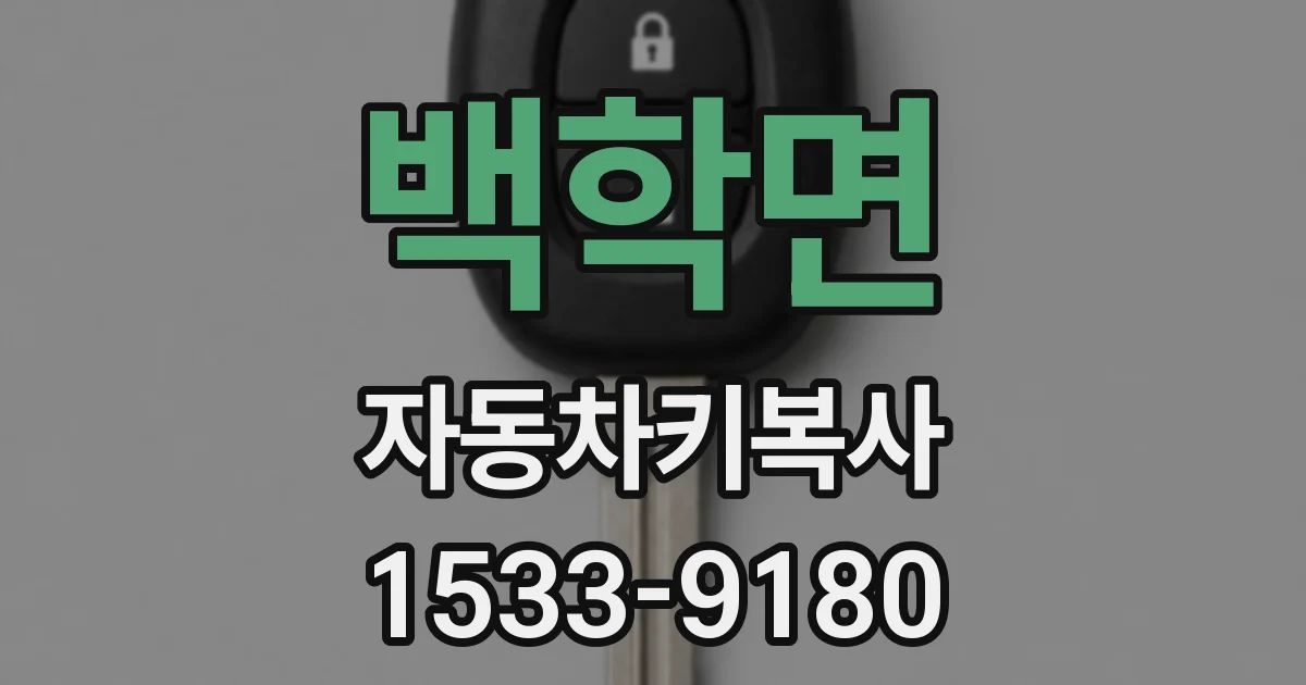 백학면 자동차키복사