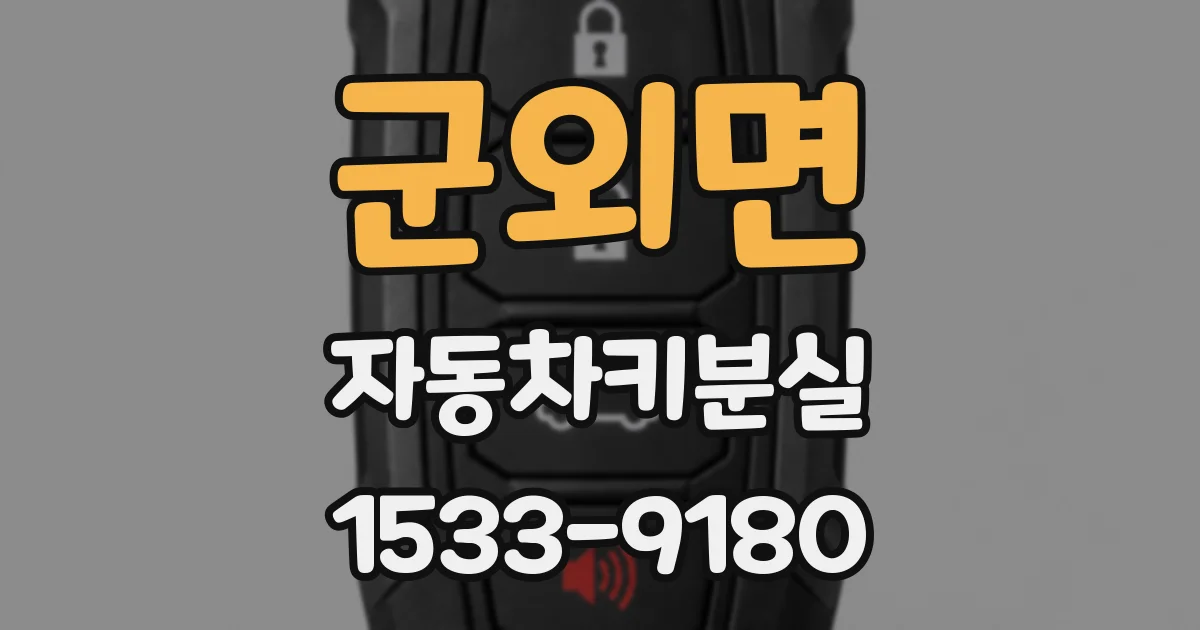 군외면 자동차키분실