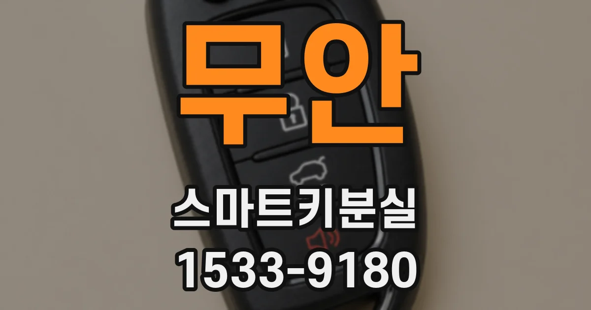 무안 스마트키분실