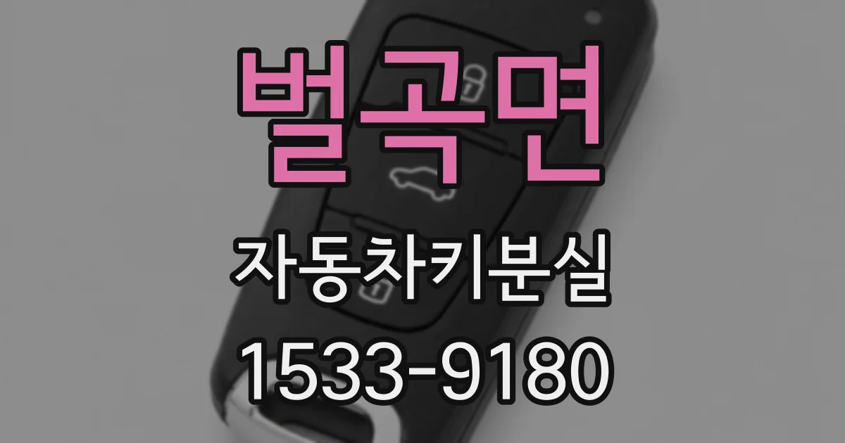 벌곡면 자동차키분실