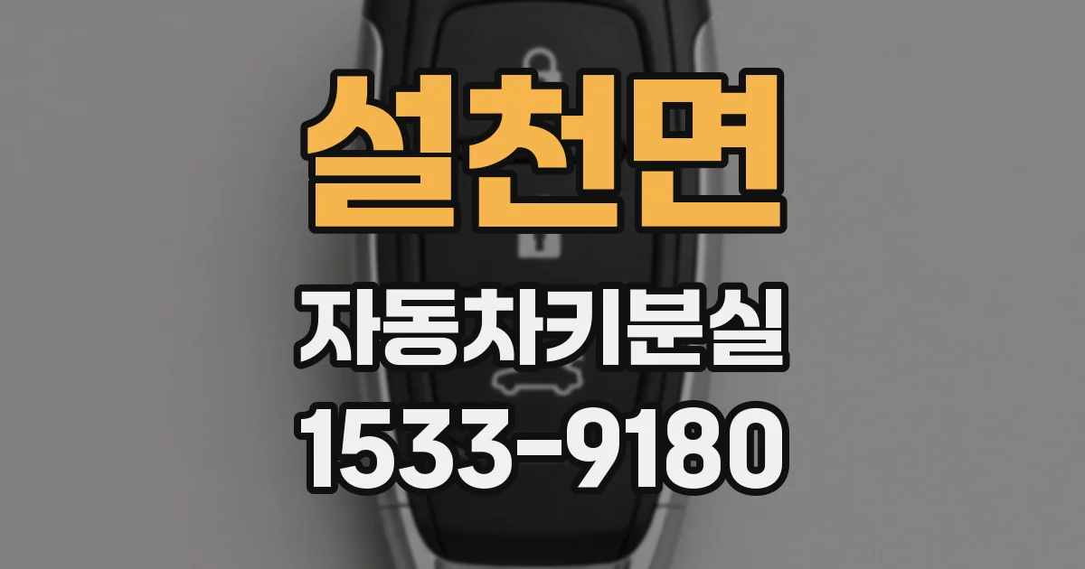 설천면 자동차키분실