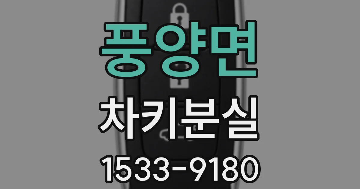 풍양면 차키분실