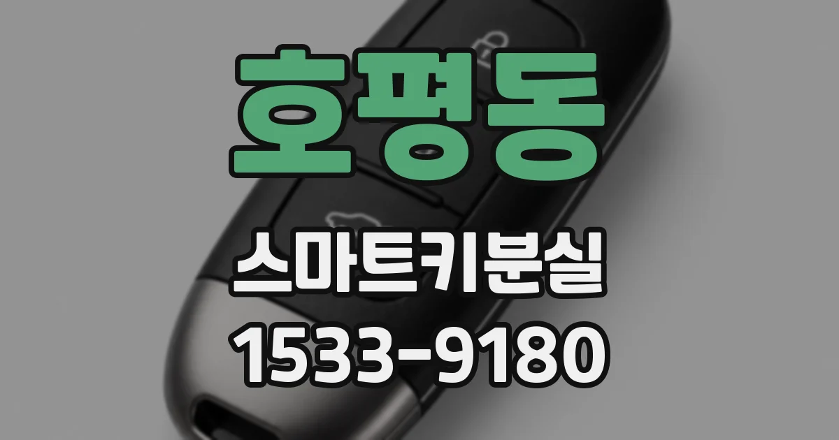 호평동 스마트키분실