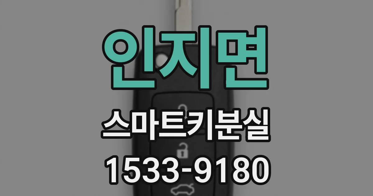 인지면 스마트키분실