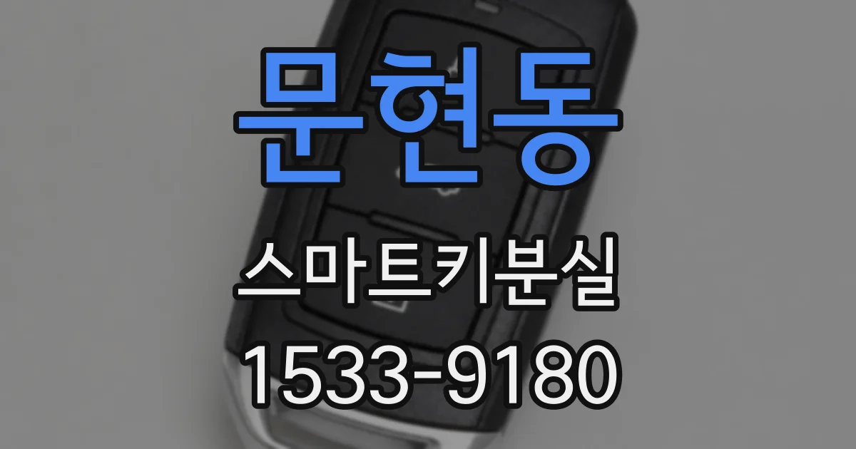 문현동 스마트키분실