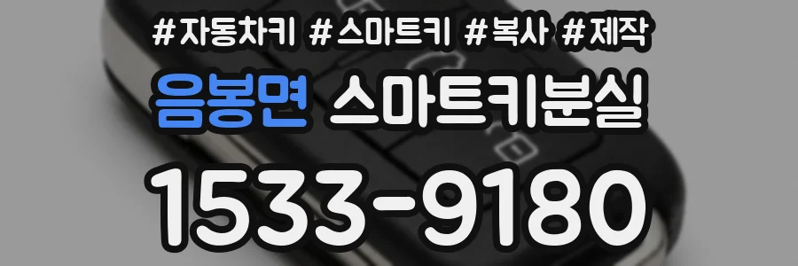 음봉면 스마트키분실