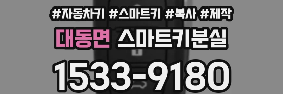 대동면 스마트키분실