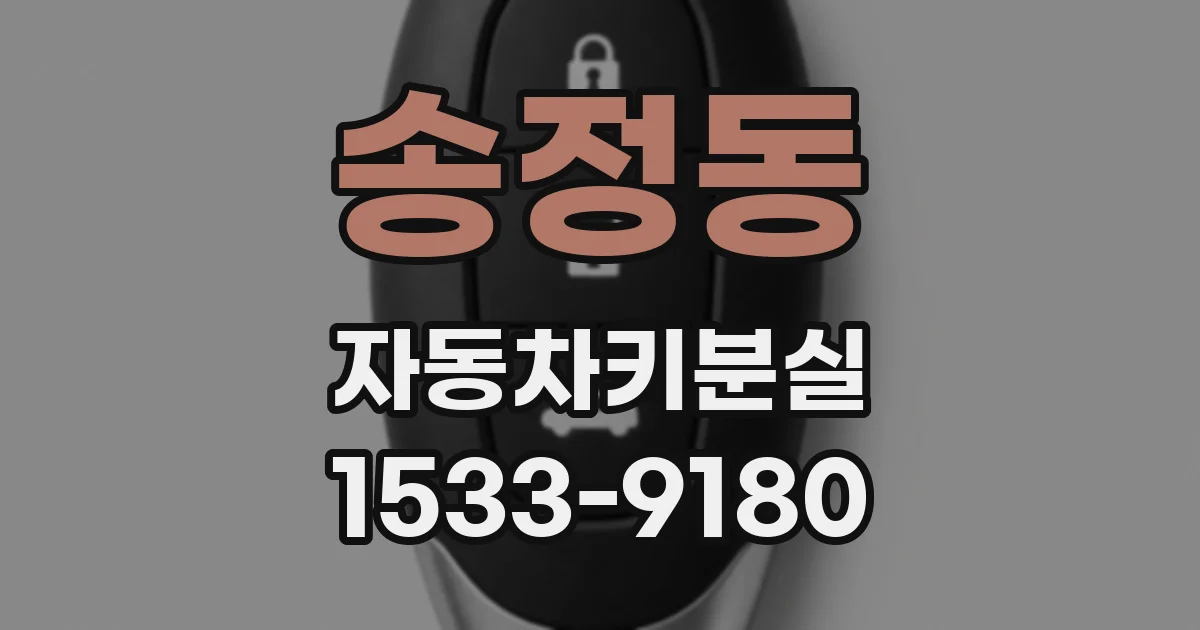 송정동 자동차키분실