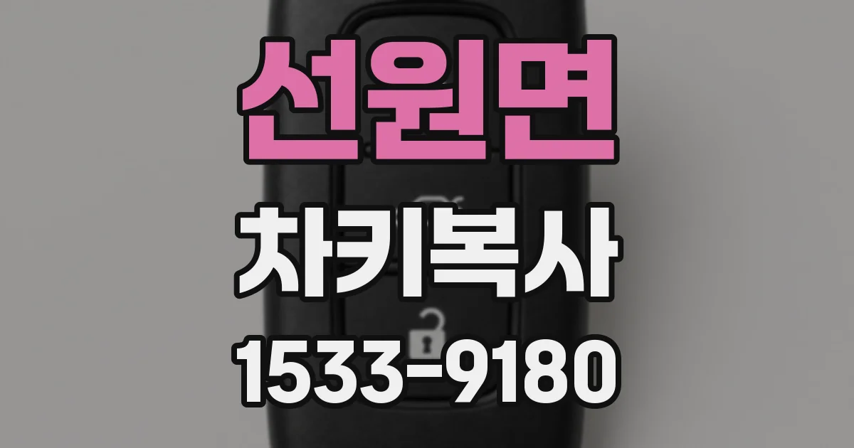 선원면 차키복사