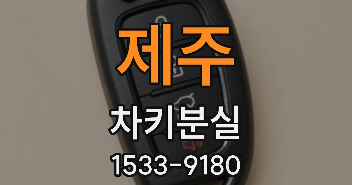 제주 차키분실