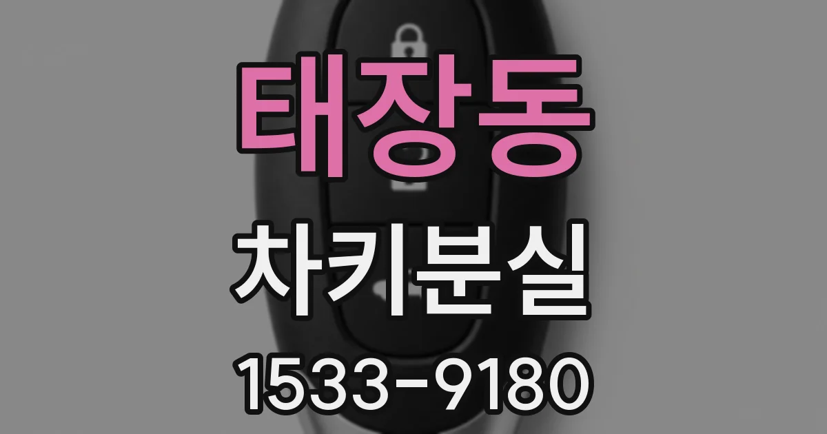 태장동 차키분실