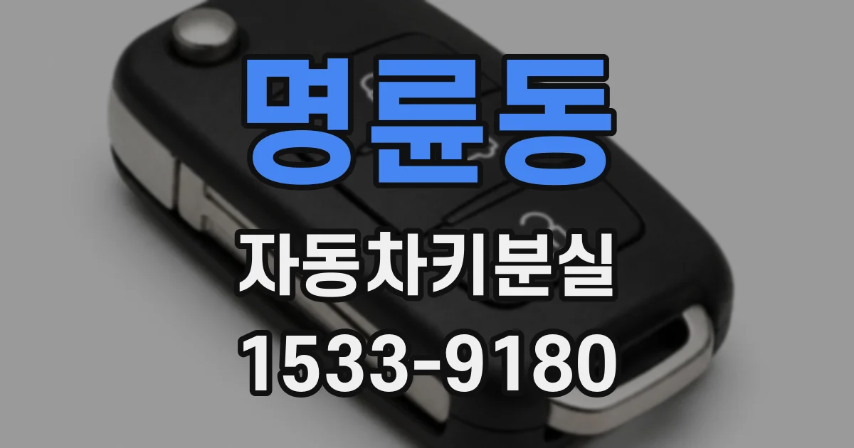 명륜동 자동차키분실