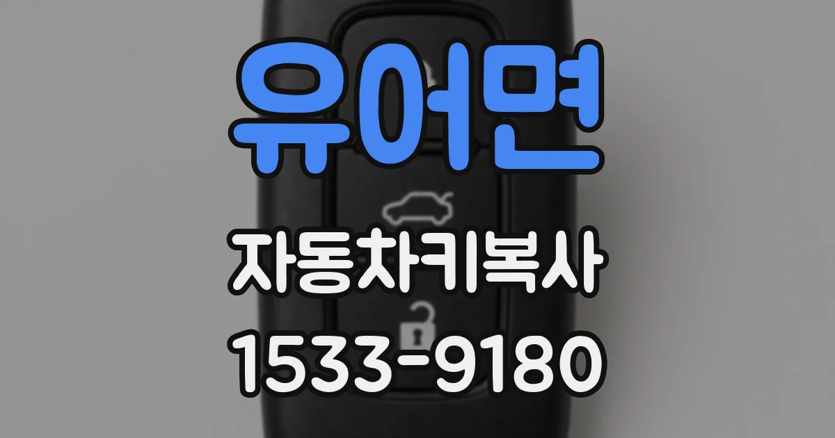 유어면 자동차키복사