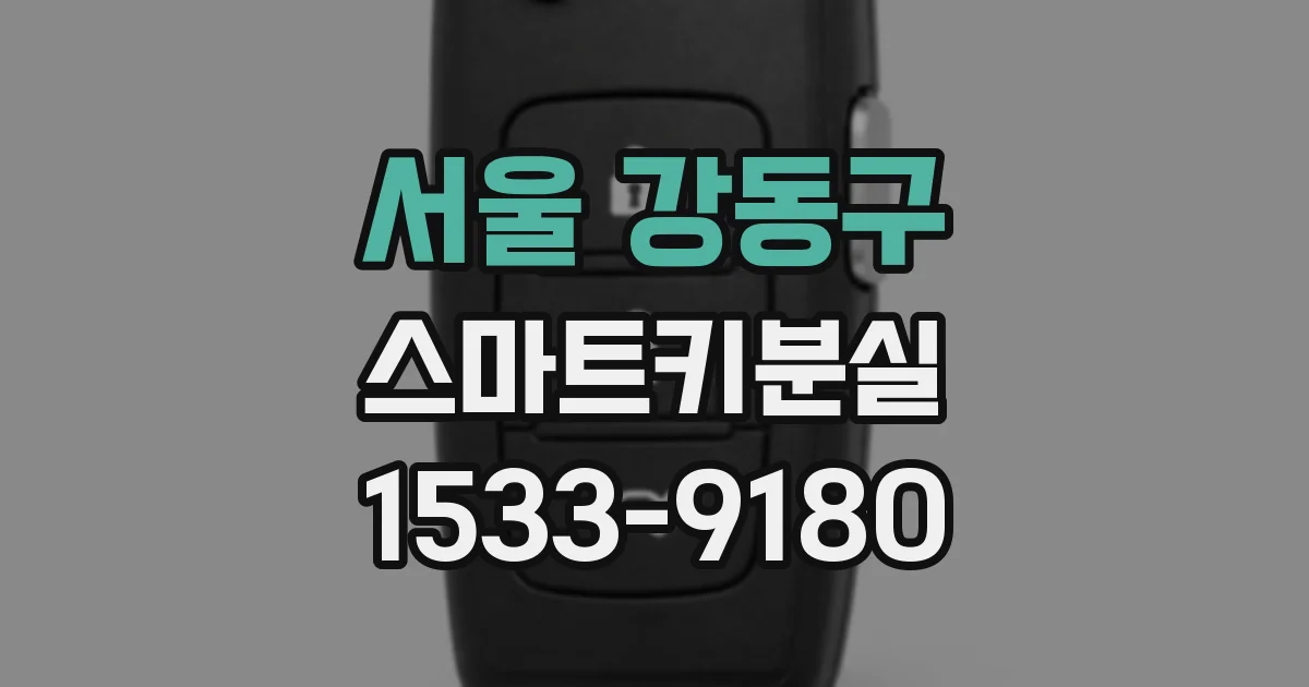 서울 강동구 스마트키분실